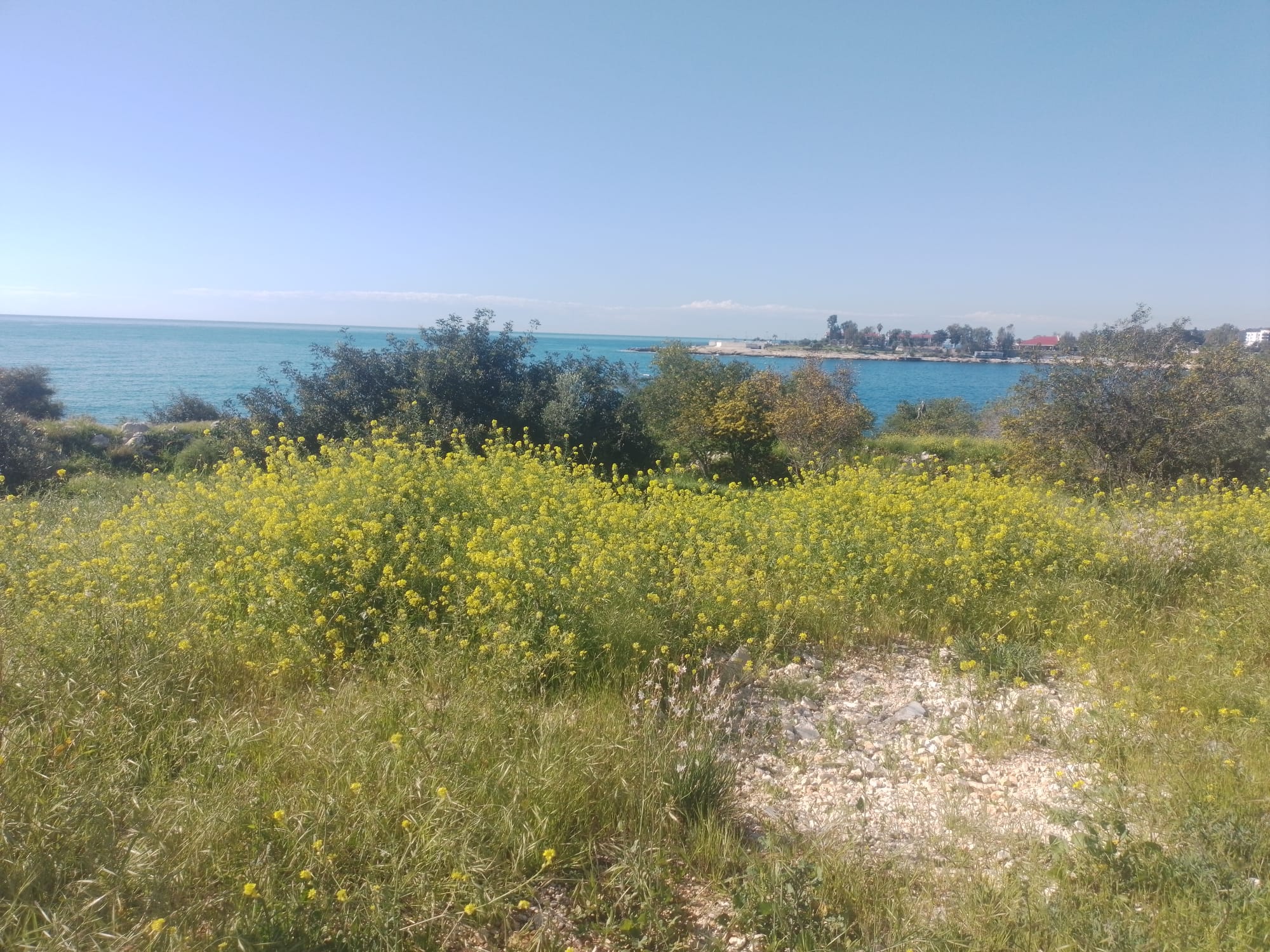 IMG 20260401 WA0033